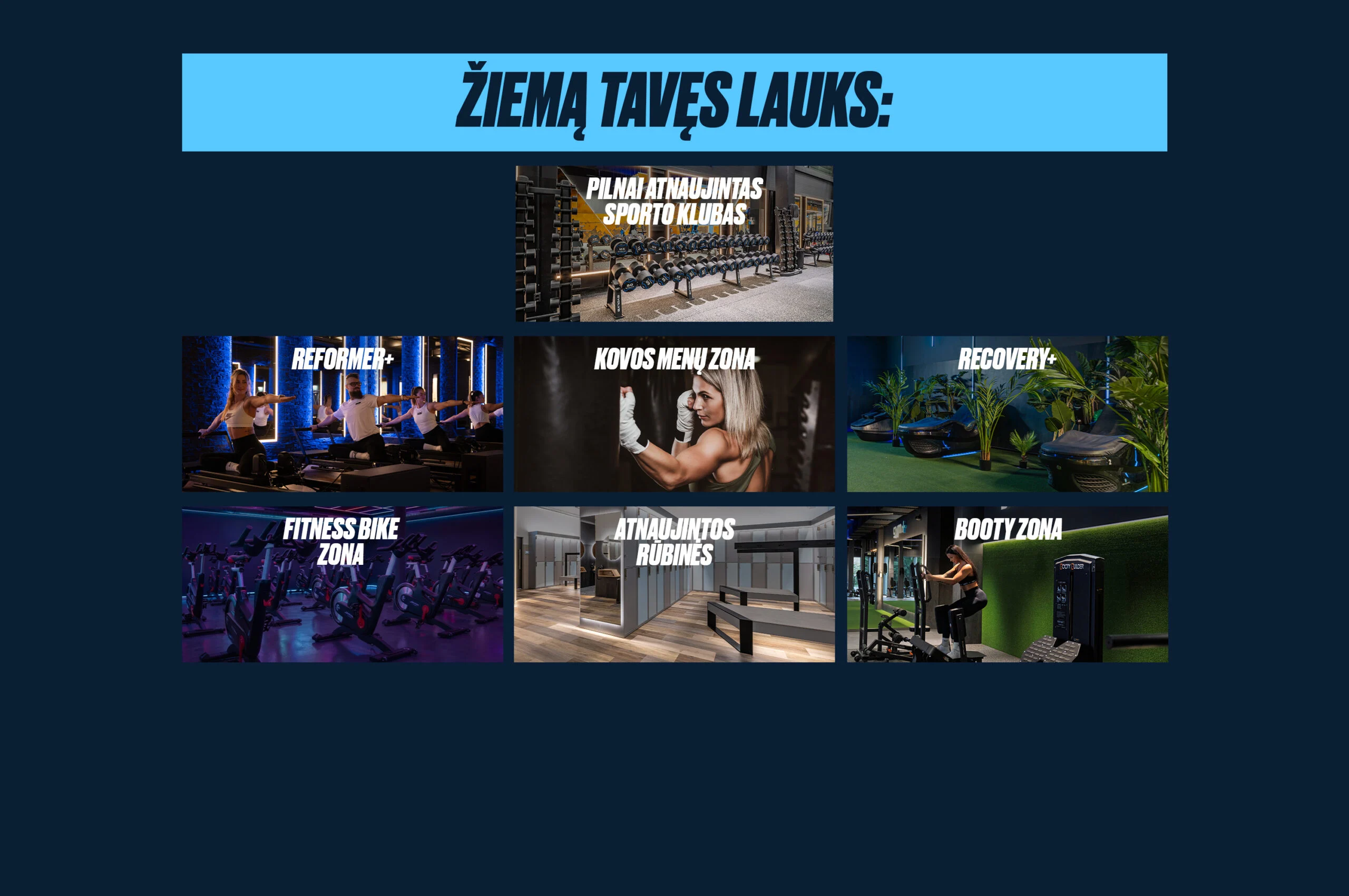 Gym – Gym+ Mega