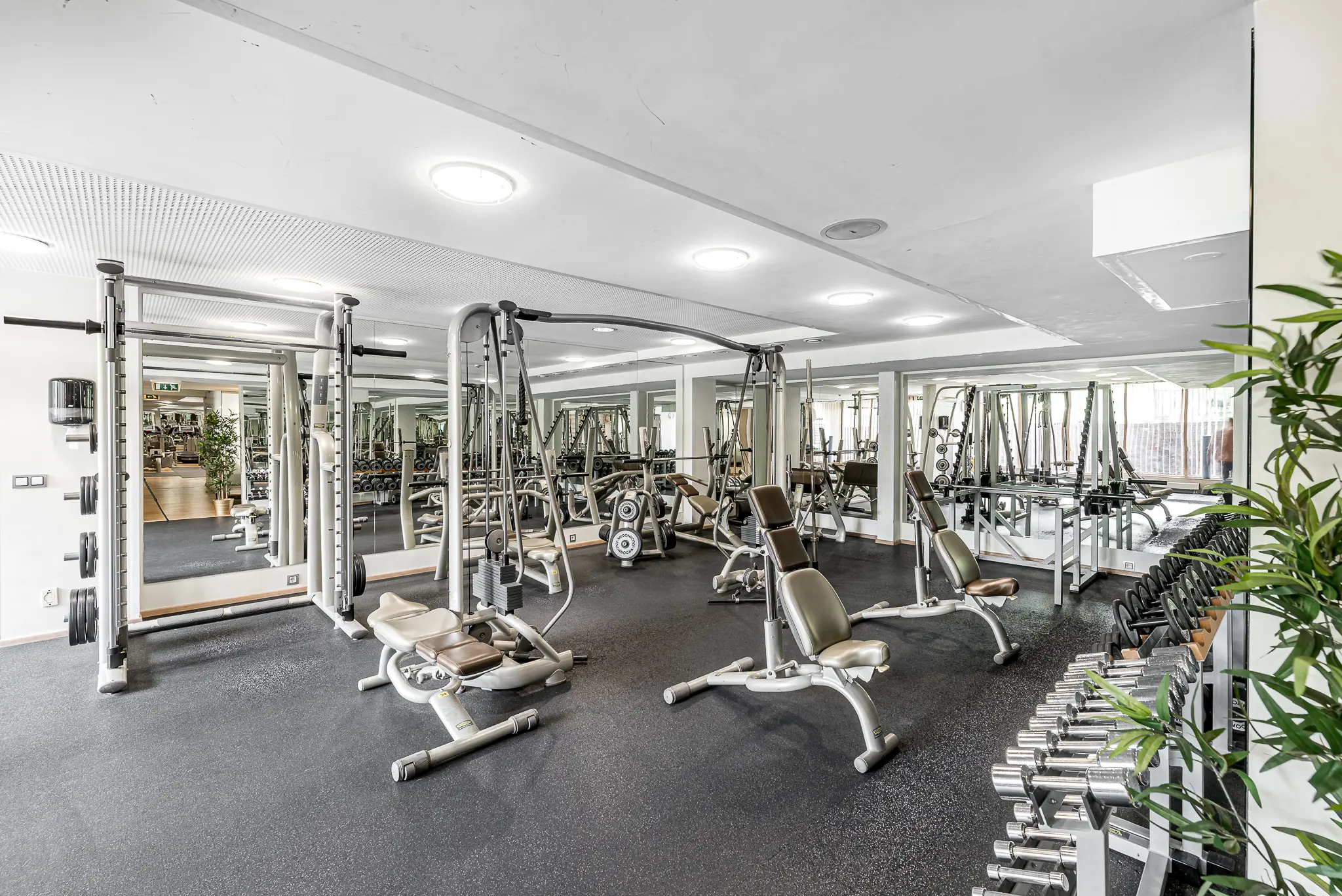 Gym – The Royal Athletic Club, M. K. Čiurlionio St.