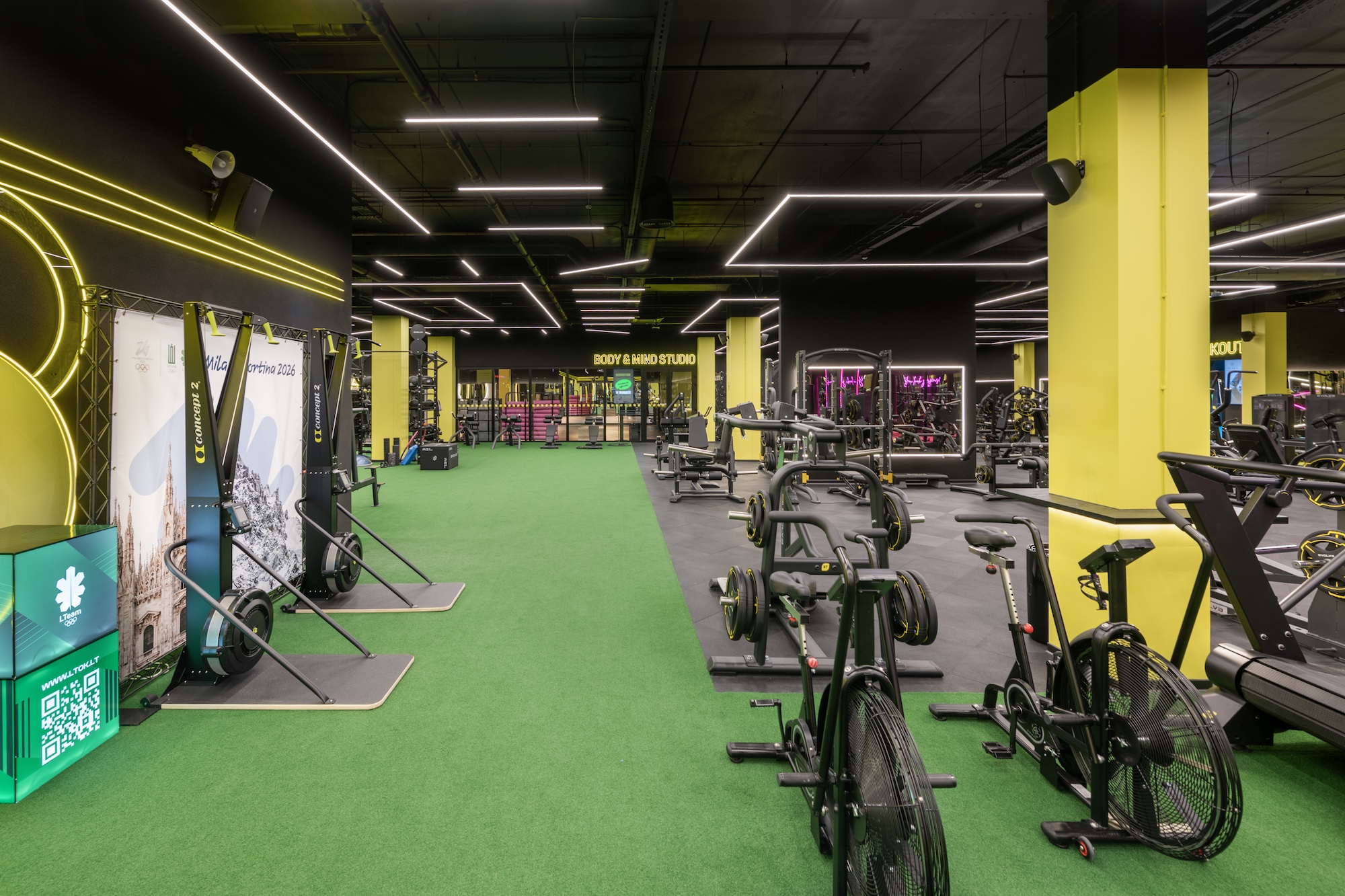 Gym – Lemon Gym Pikas