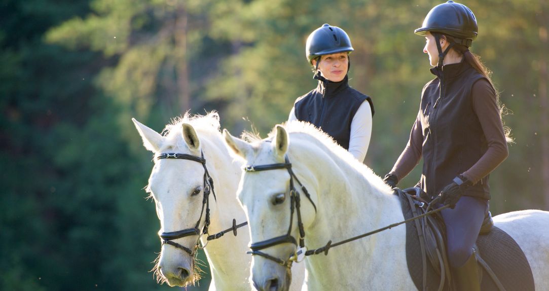 Horseback Riding (Equestrian) Lessons for Children – Pajiesio Stables