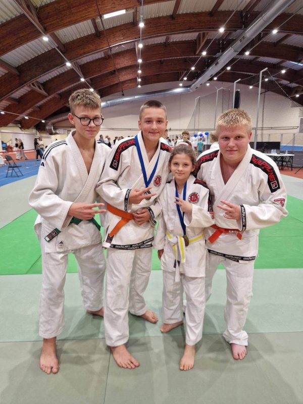 Wrestling (judo, grappling, BJJ) for children ages 4–6 – Šakiai