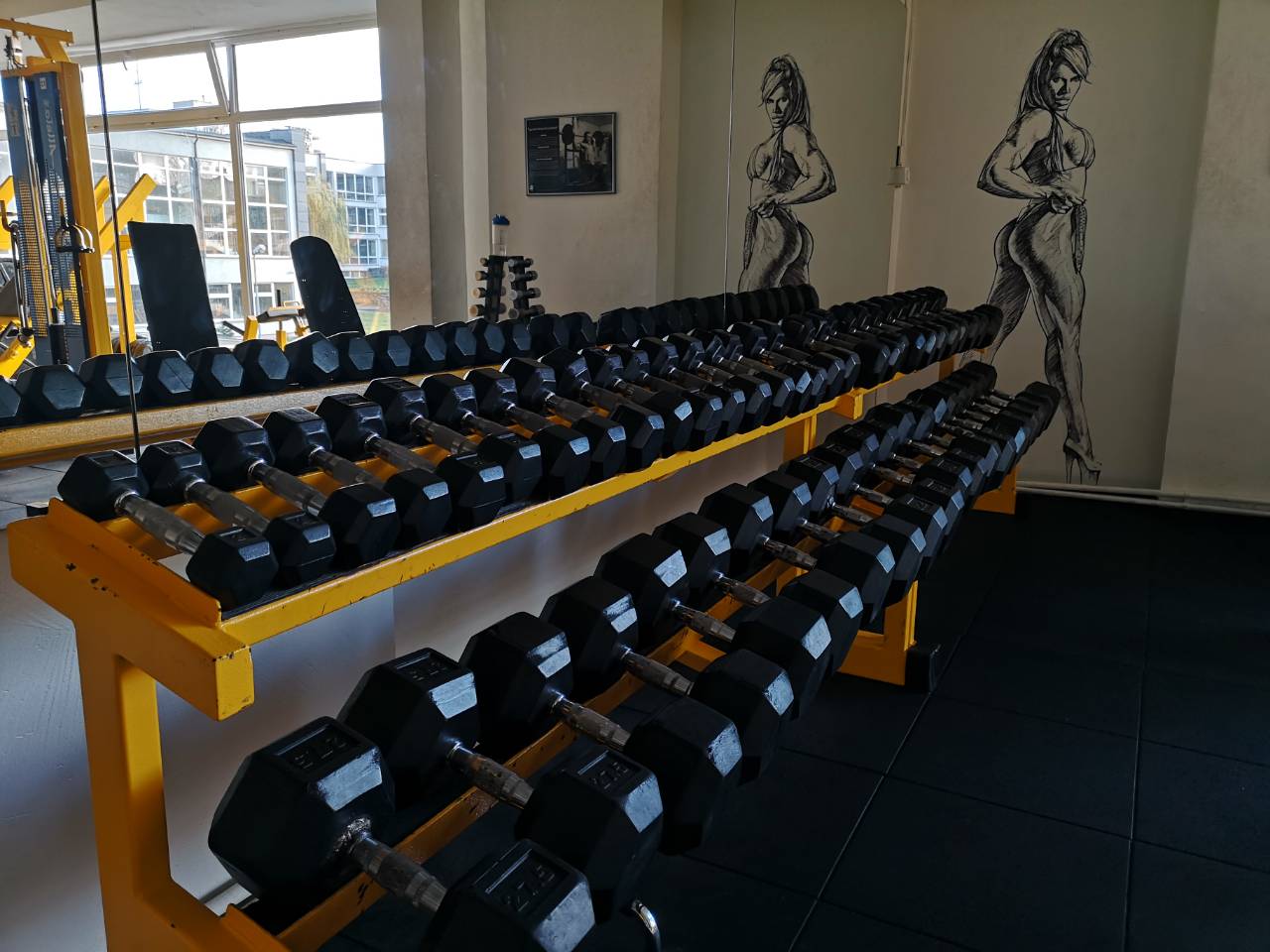 Treniruoklių salė – Ultimate Gym Lazdynai