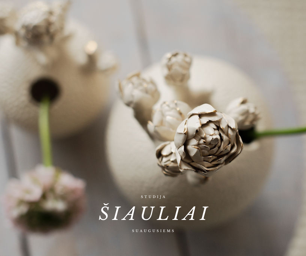 Keramikos studija suaugusiems – Šiauliai