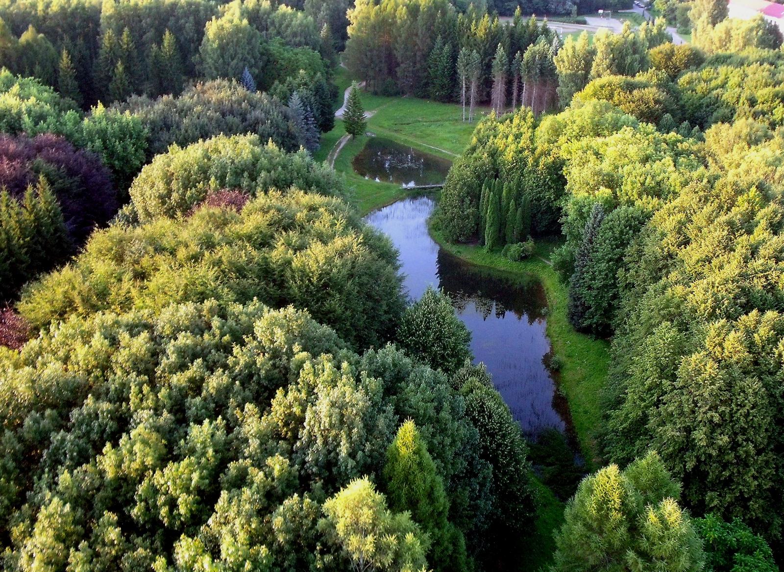 Park dendrologiczny w Girionys – Girionys