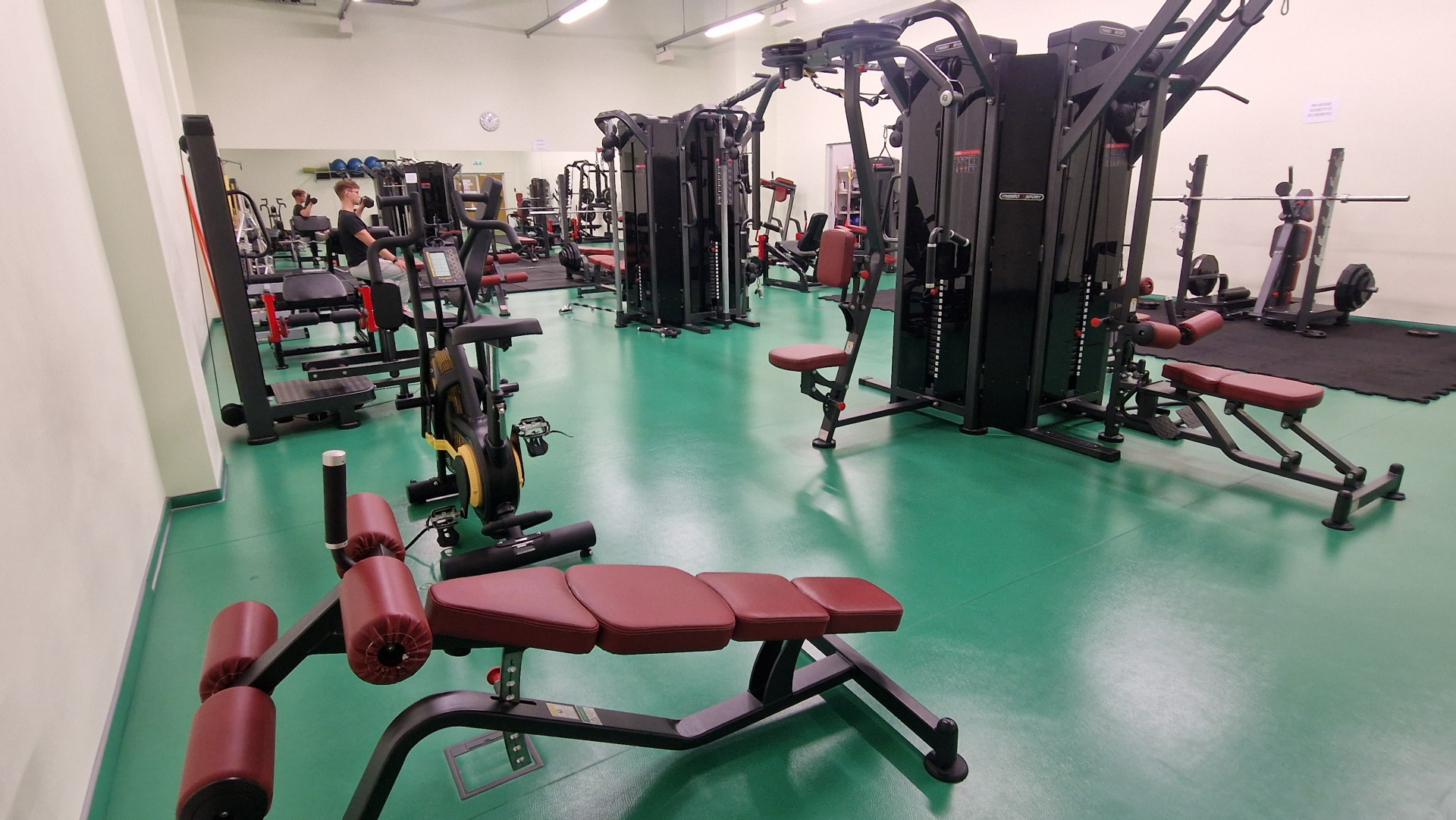 Gym – Kelmė