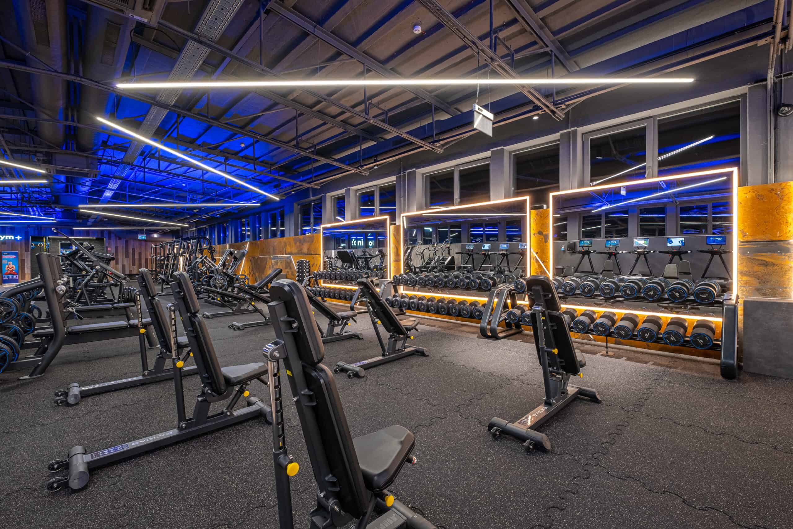 Treniruoklių salė – Gym+ Žemaitės g. 22