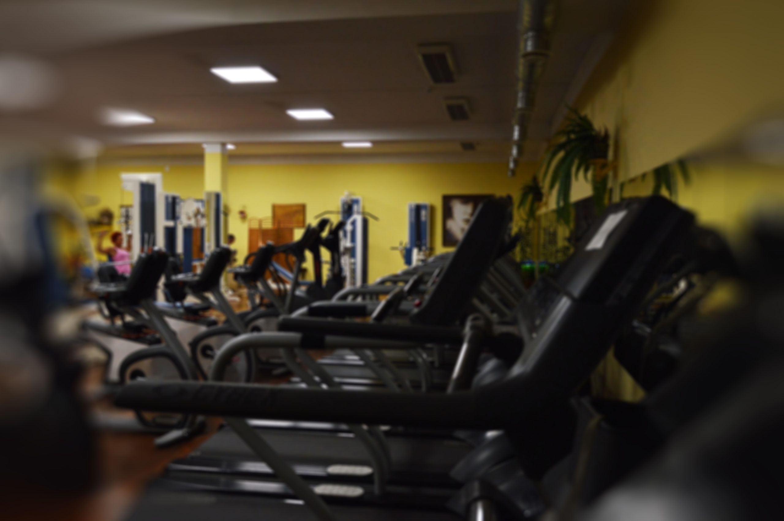 Gym – Gradatim on Gardino Street