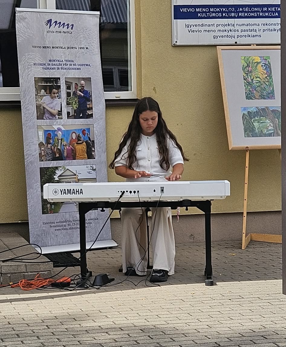 Piano Lessons – Vievis Art School