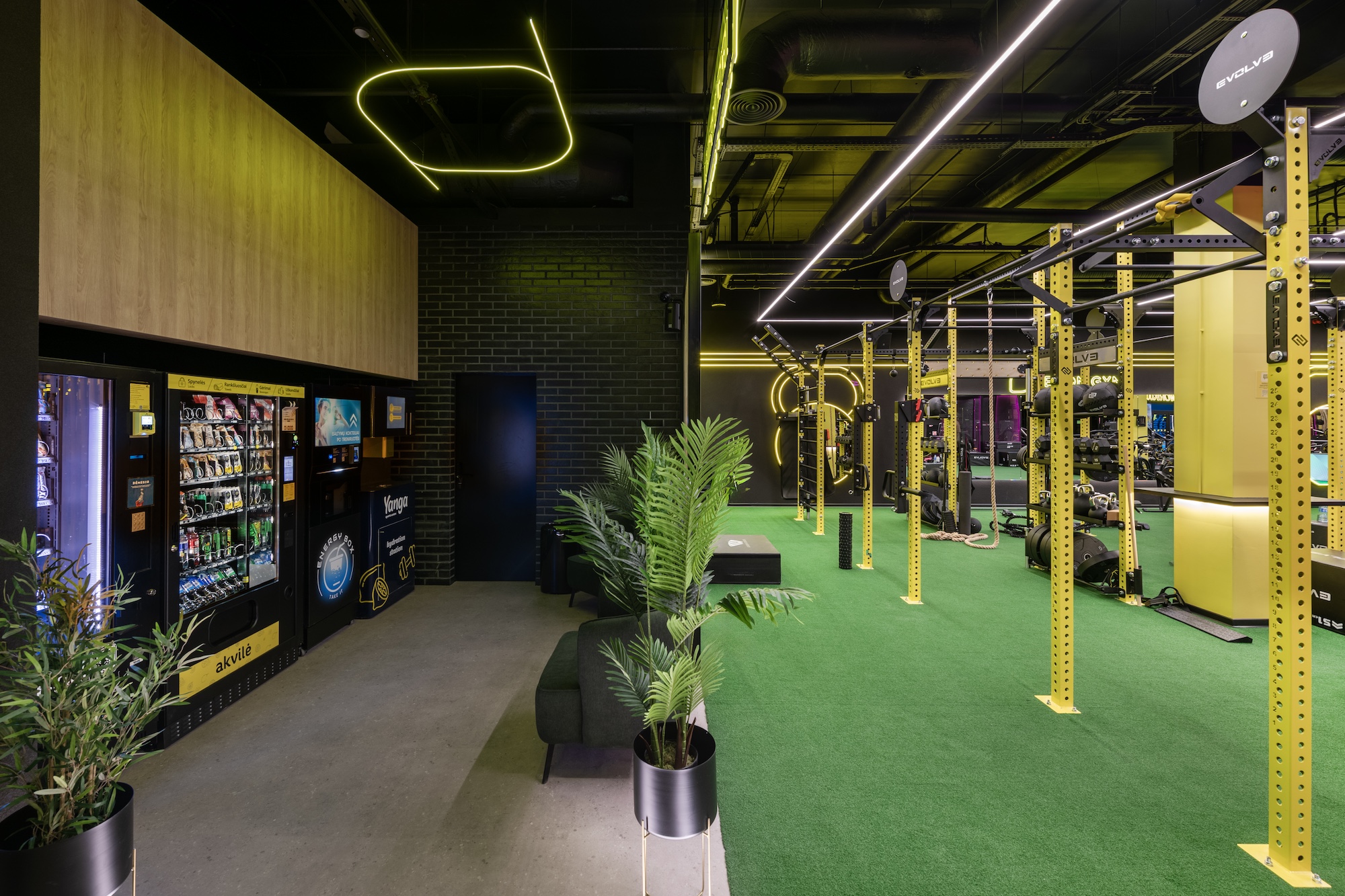 Gym – Lemon Gym Pikas