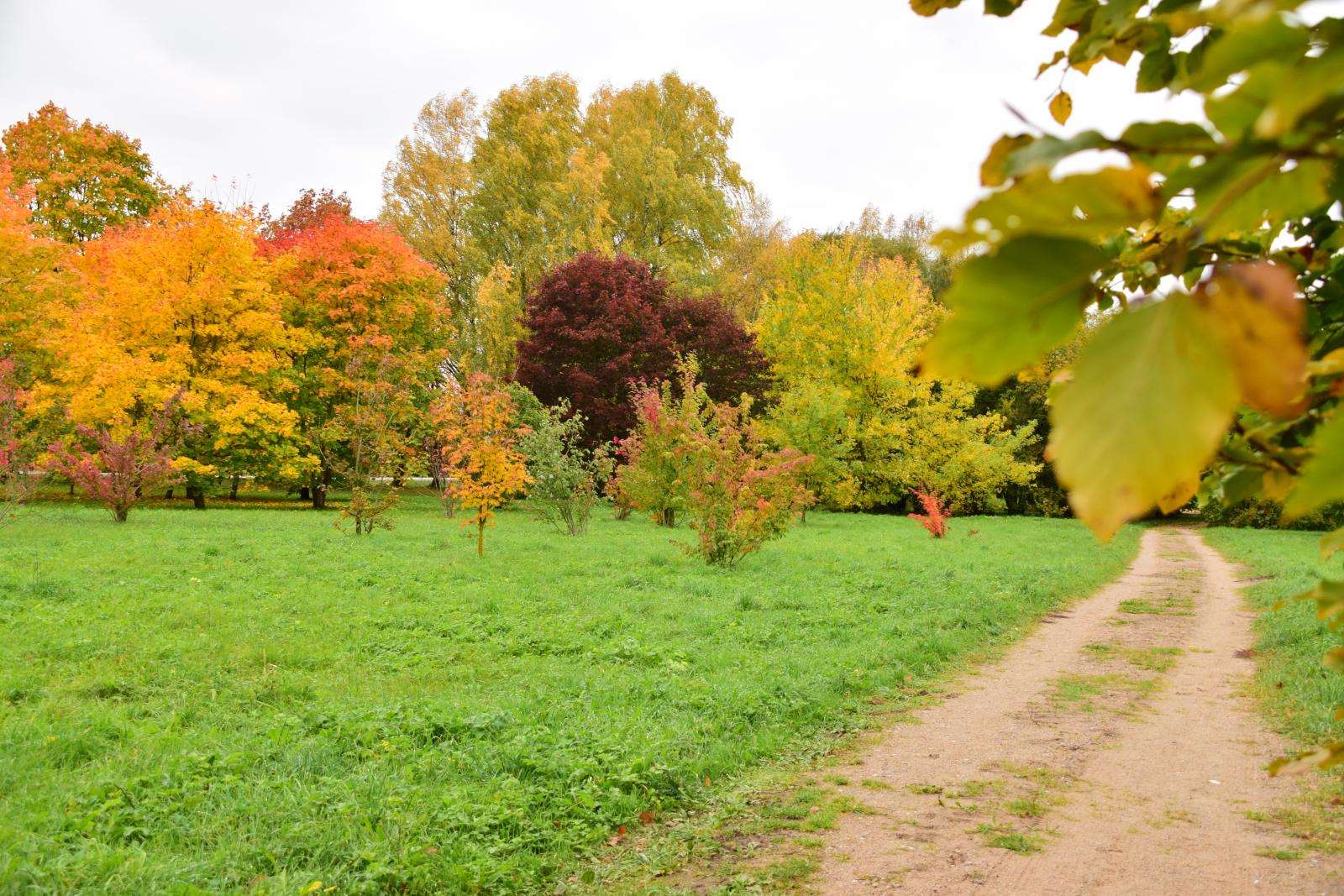 Dubrava Arboretum – Girionys