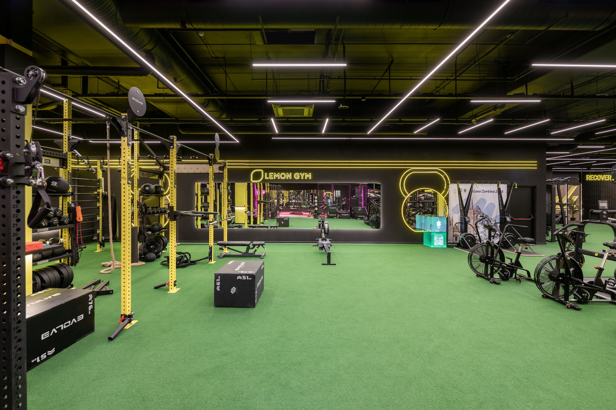 Gym – Lemon Gym Pikas