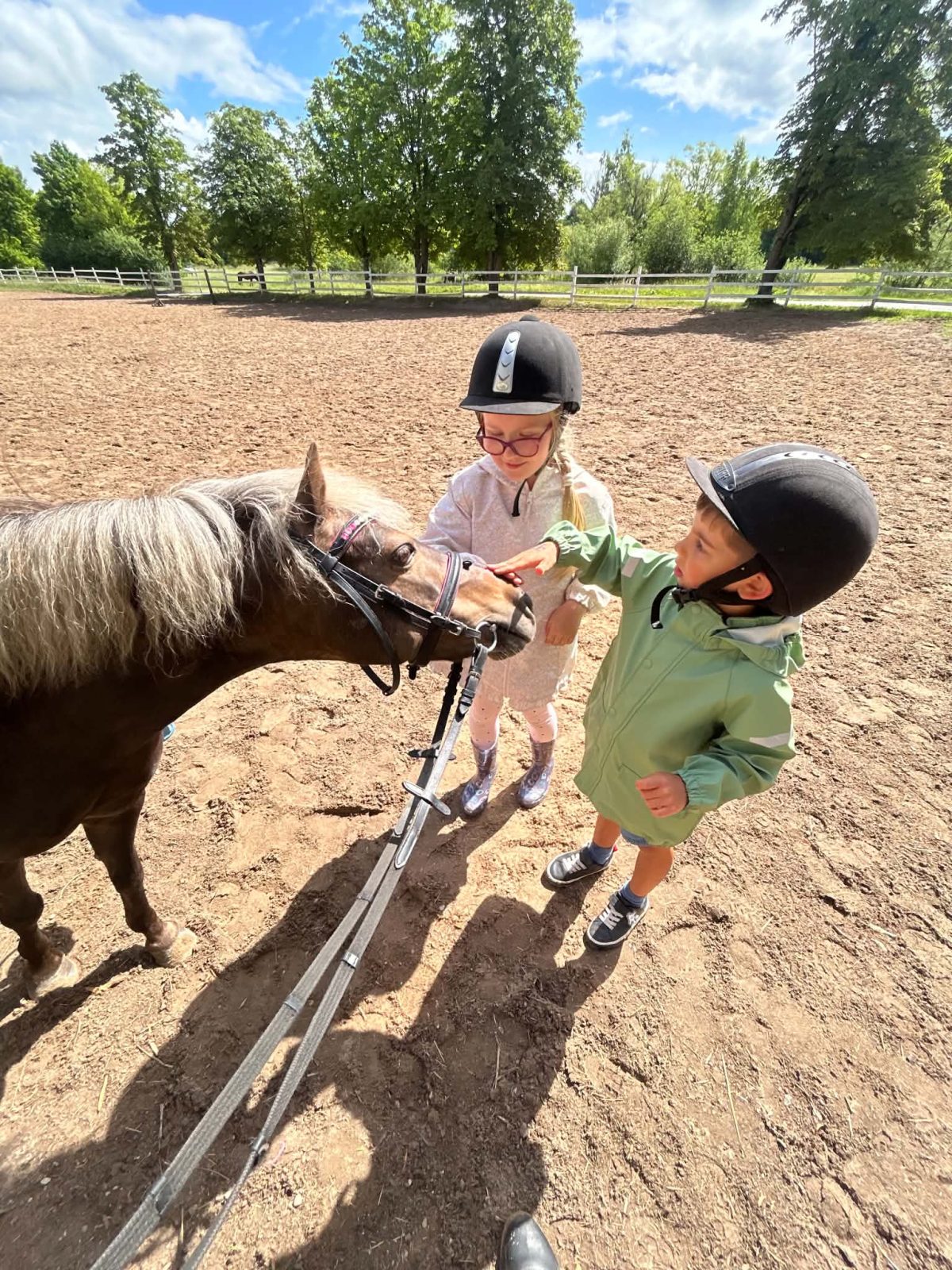 "Laimės Pasaga" Horse and Pony Discovery Club – Šiauliai