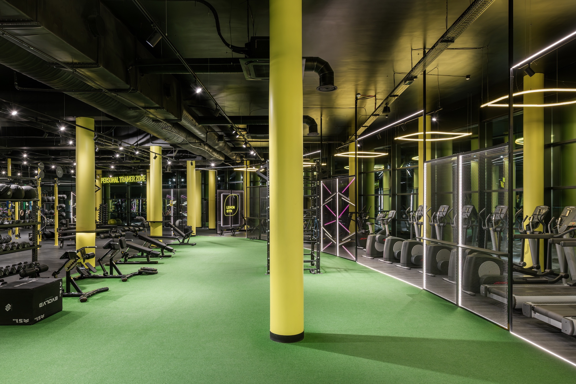 Sala treningowa – Lemon Gym Asanavičiūtė