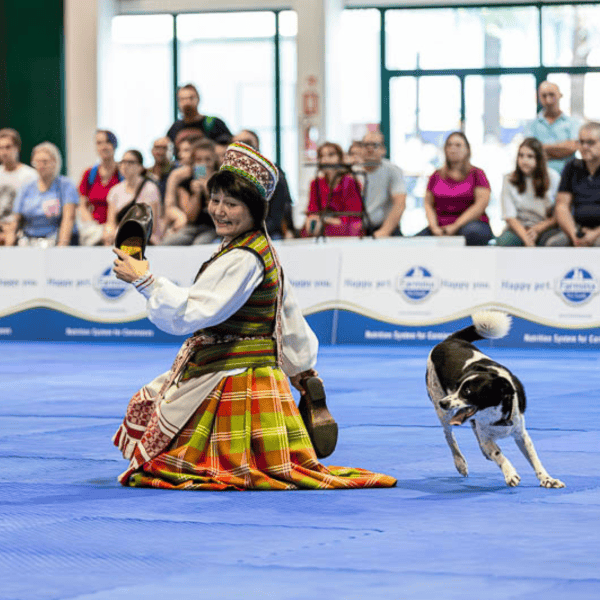 Jaunųjų kinologų būrelis HOBIVERSE – Vilnius