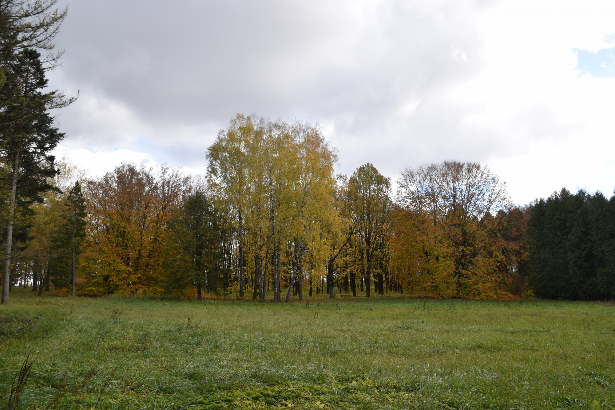 Park dendrologiczny w Girionys – Girionys