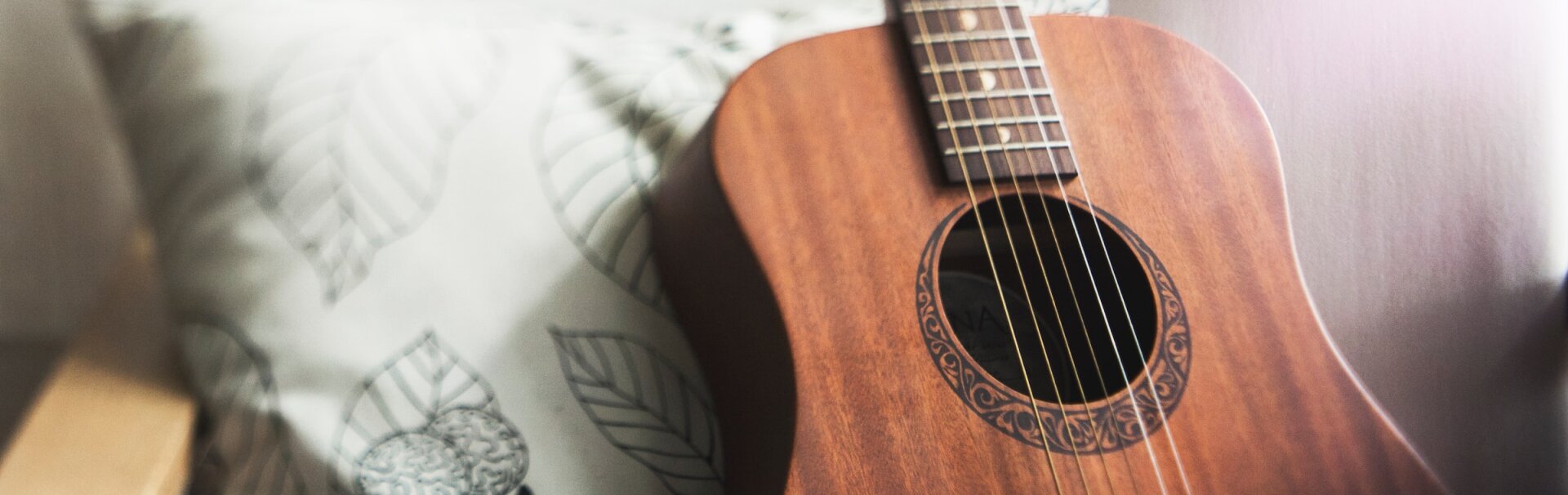 Guitar Lessons – Eišiškės Music School