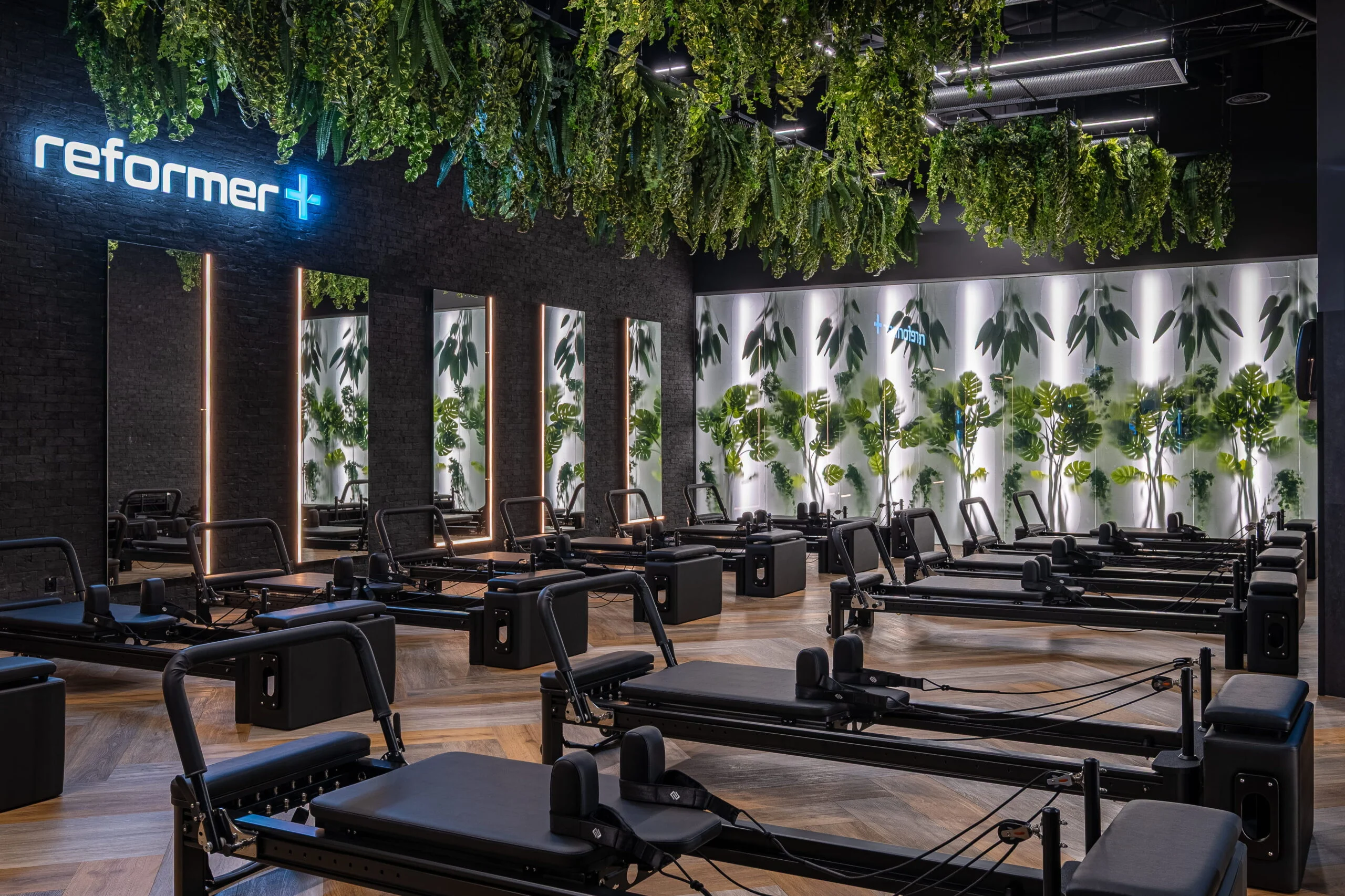Gym – Gym+ Panorama