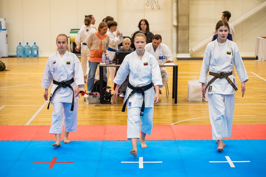 Karate vaikams – Žvėrynas