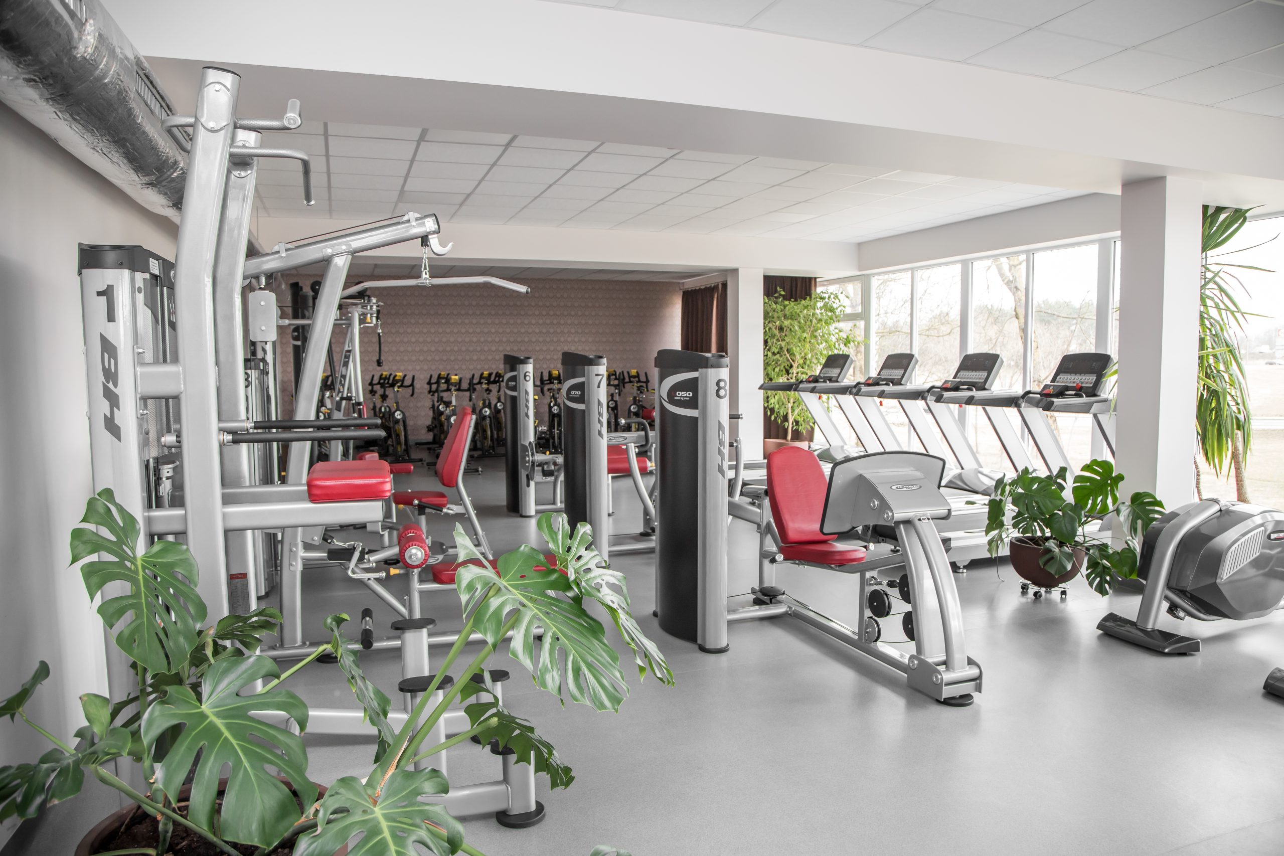 Gym – FiguraGym, Vaižganto St.
