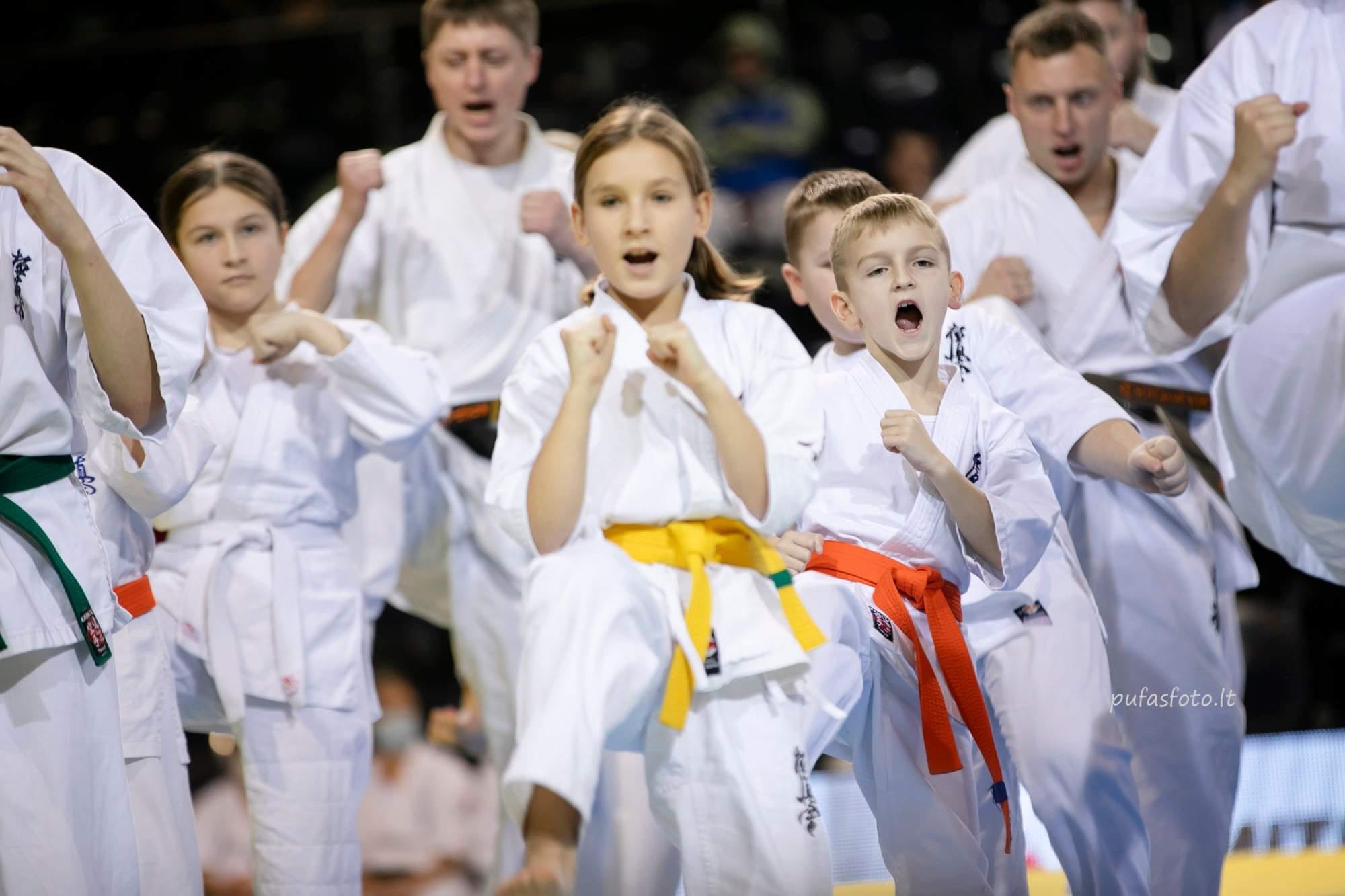 Kyokushin karatė vaikams ir paaugliams – Kėdainių „Atžalyno“ gimnazija
