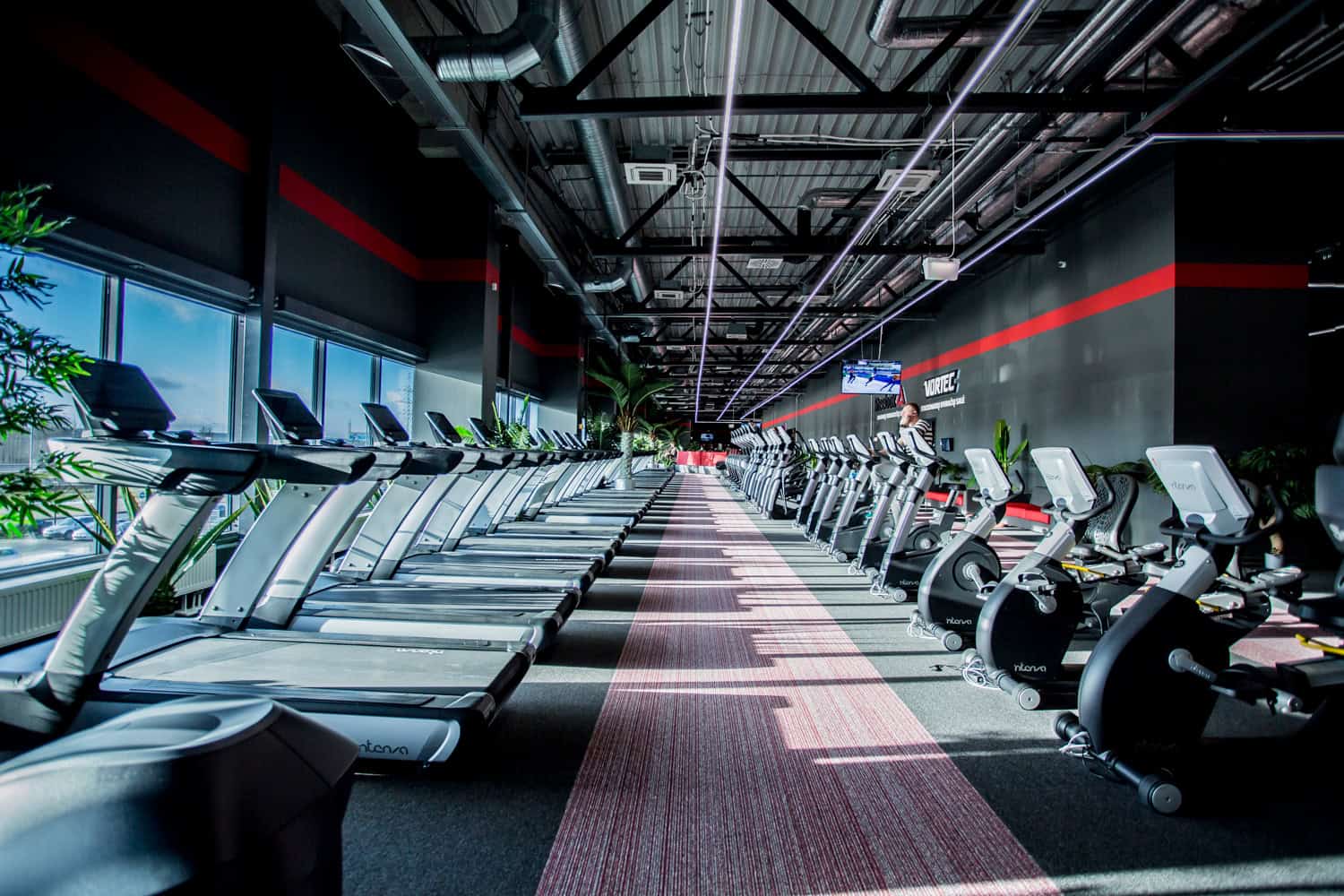 Gym – Gym+ Mega