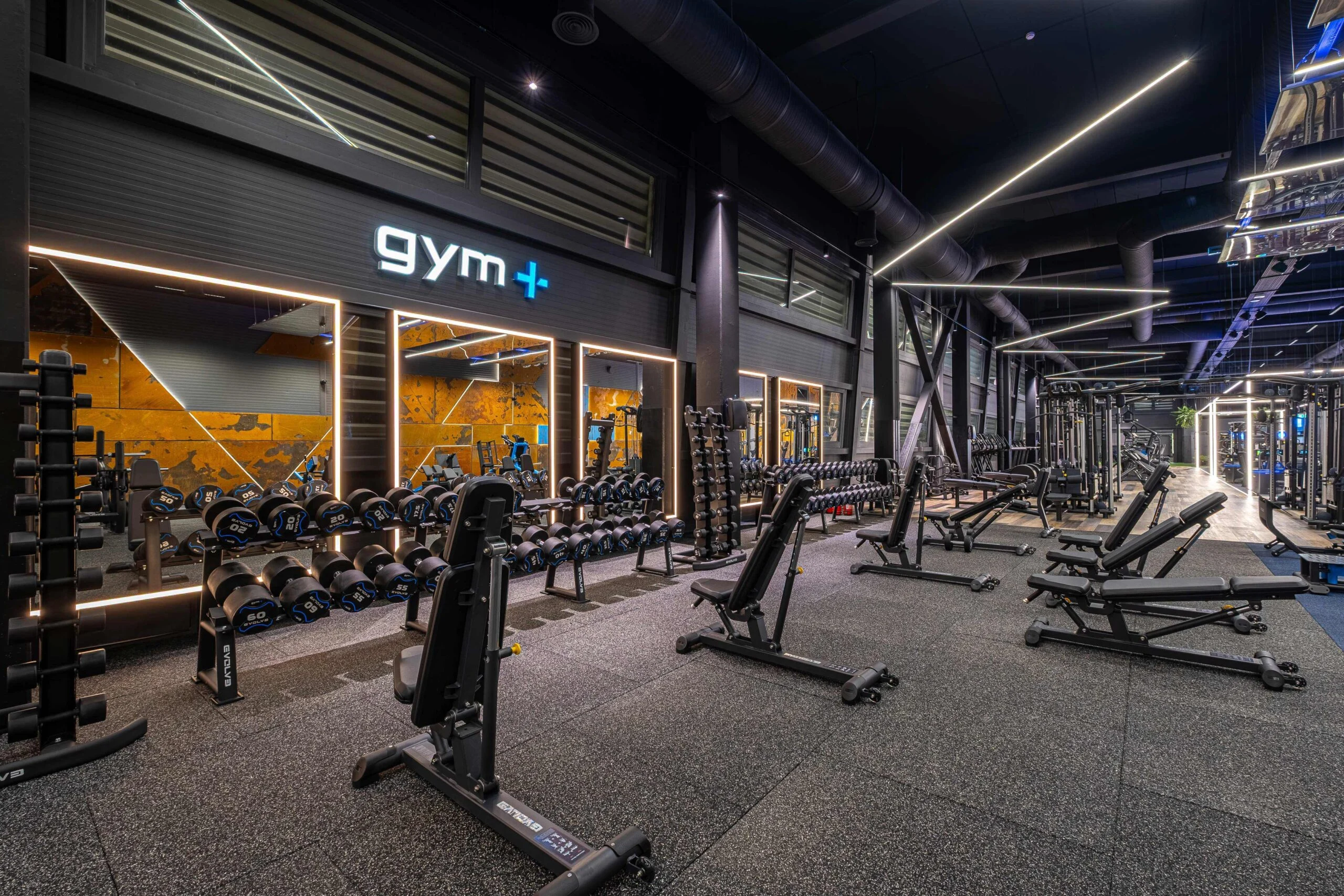 Treniruoklių salė – Gym+ Mokslininkų g. 6A