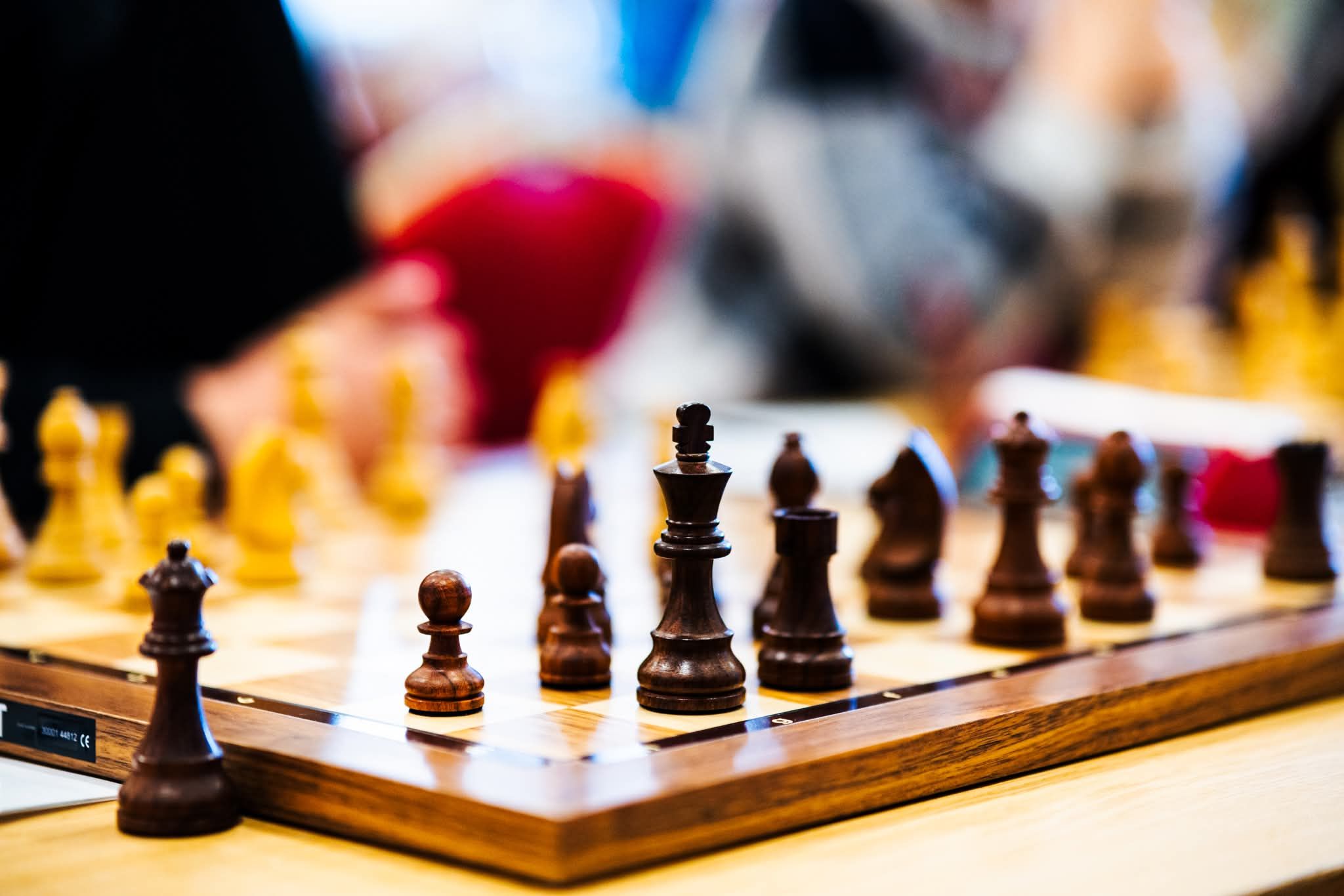 Chess for Children – Kaunas Sports School “GAJA,” 180 Partizanų St.