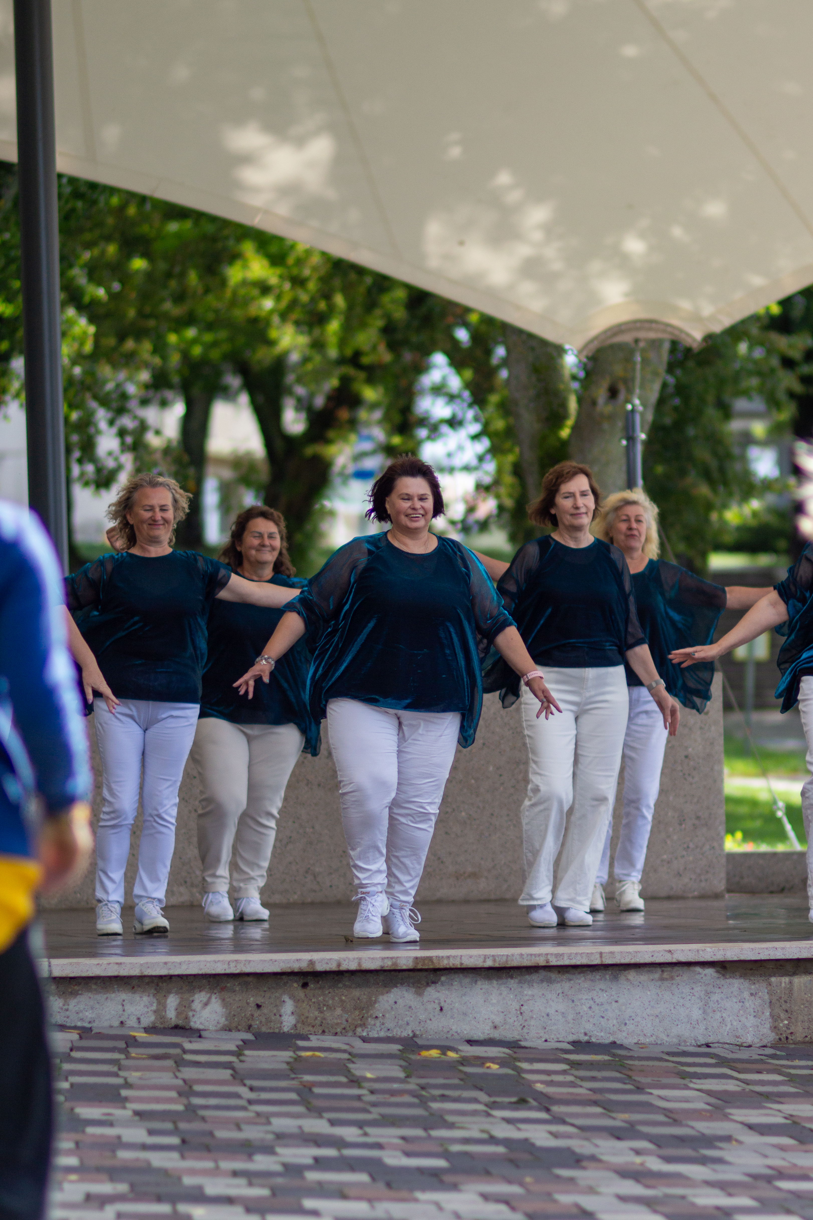 Moterų linijinių šokių klubas „Skrajūnė“ – Vilkijos kultūros centras