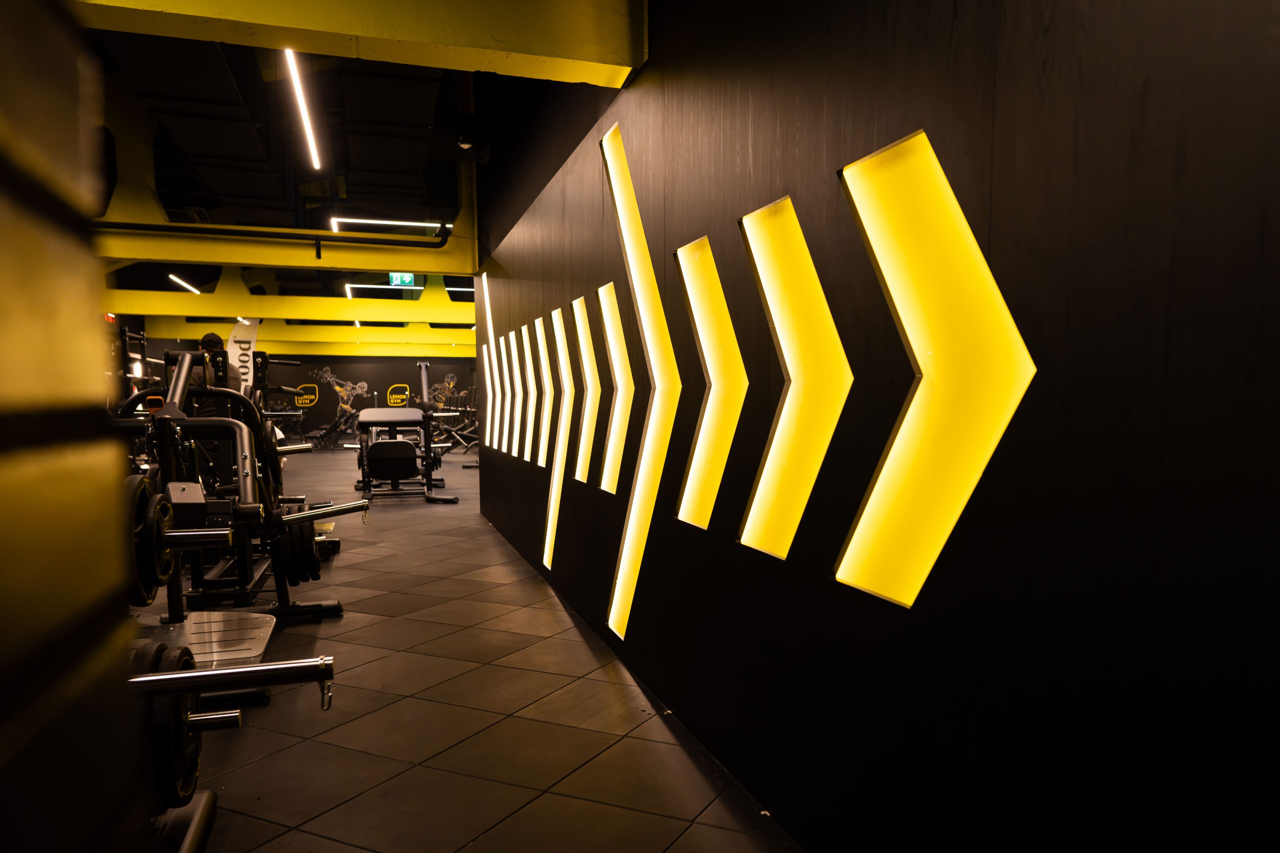 Treniruoklių salė – Lemon Gym Urmas