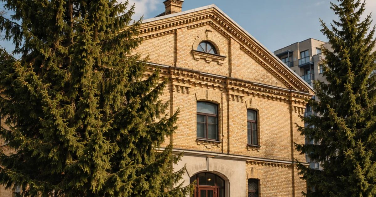 "Senjorų avilys" Senior Day Center – Žirmūnai, Vilnius